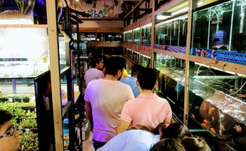 Acuario Isla Tortuga