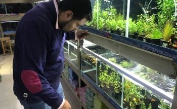 Acuario Isla Tortuga