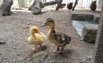 Veterinaria San Miguel