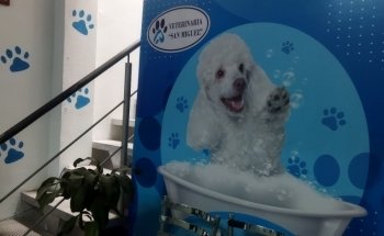 Veterinaria San Miguel