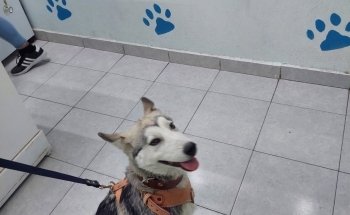 Veterinaria San Miguel