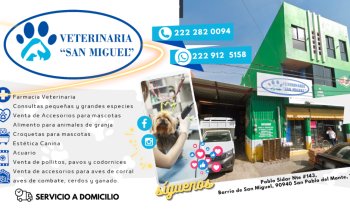 Veterinaria San Miguel