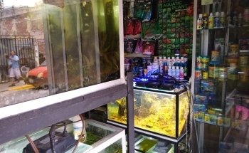 Acuarista Oaxaca