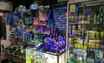Acuarista Oaxaca