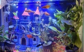 Acuario Ultra mar