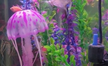Acuario Ultra mar
