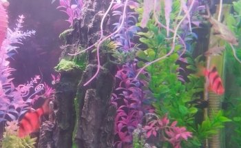 Acuario Ultra mar