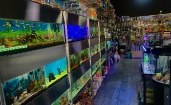 Acuario Atemajac