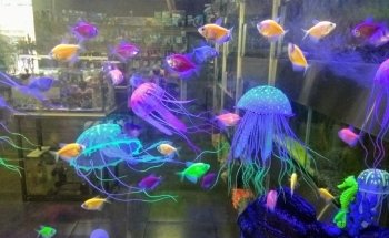 Acuario Atemajac