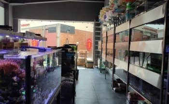 Acuario Atemajac