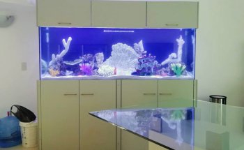 Acuario Islas