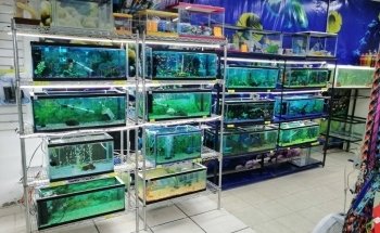 Tienda Agropecuaria Vergeles