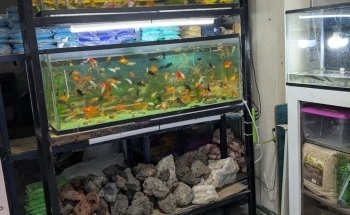 Tienda Agropecuaria Vergeles
