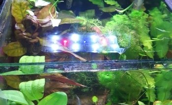 Acuario Maryluz