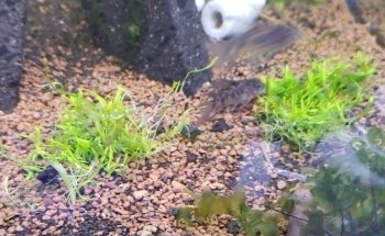 Acuario Maryluz