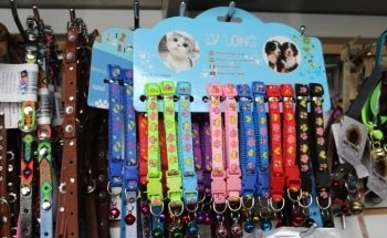 Hobbisimo Veterinaria y Acuario