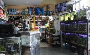 Hobbisimo Veterinaria y Acuario