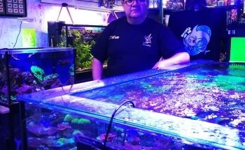 Acuario AUIC