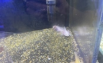 AquamarTJ
