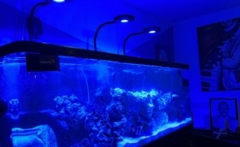 AquamarTJ