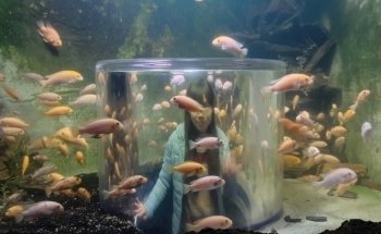 Tijuana Aquarium