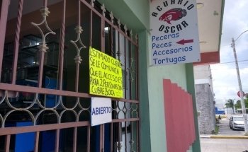 Oscar Aquarium