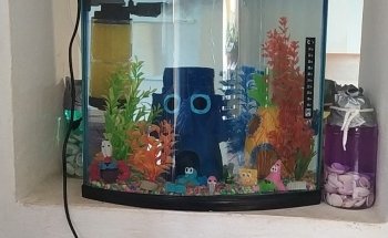 Acuario Oscar