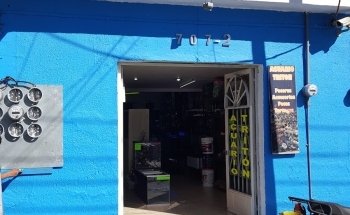 Acuario Triton