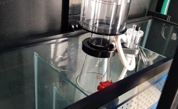 Acuario Triton