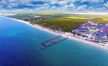 Delphinus Playa Mujeres