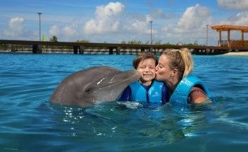 Delphinus Playa Mujeres