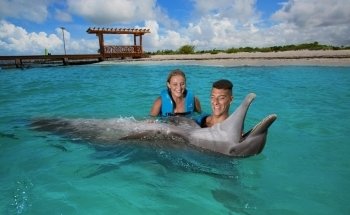 Delphinus Playa Mujeres