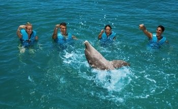 Delphinus Playa Mujeres