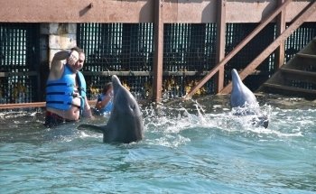 Delphinus Playa Mujeres