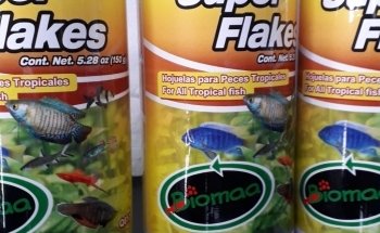 Acuario Amazonic
