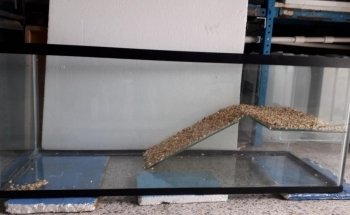 Acuario Amazonic