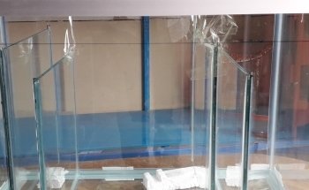 Acuario Amazonic