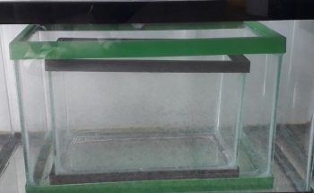 Acuario Amazonic