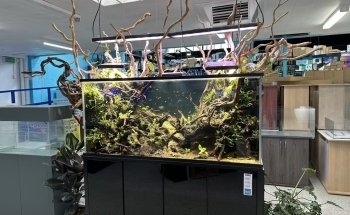Nature Pets & Aquariums