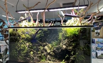 Nature Pets & Aquariums