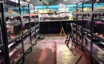 Nature Pets & Aquariums