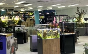 Nature Pets & Aquariums