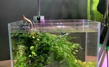 Nature Pets & Aquariums