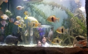Acuario De Nuevo Laredo
