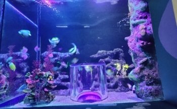 Acuario De Nuevo Laredo