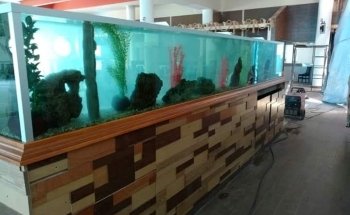 Acuario ESCORPION