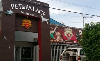 Pet Palace Dr. Murrieta