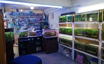 ACUARIO PANI