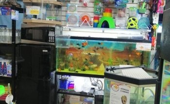 Animal Zone