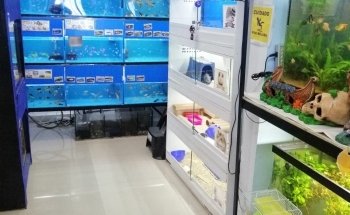 Animal Zone
